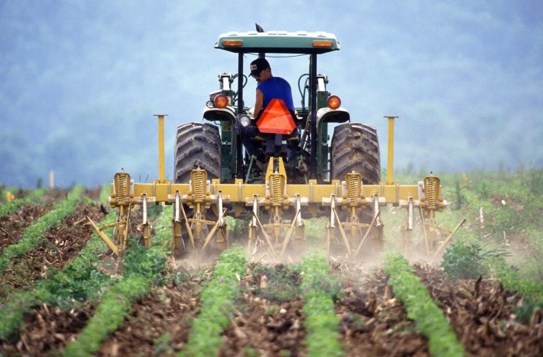 Ajutor de stat acordat producătorilor agricoli