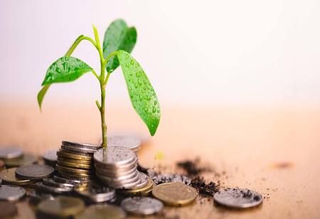 80.000 de Euro pentru Start-up-uri și artiști