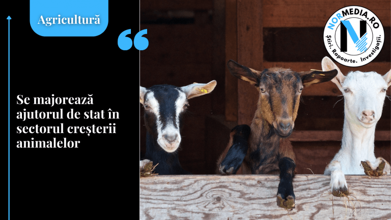 Se majorează ajutorul de stat în sectorul creşterii animalelor