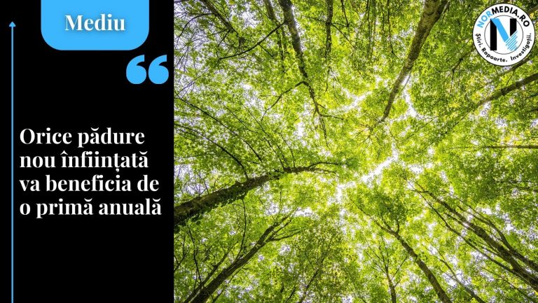 Orice pădure nou înființată va beneficia de o primă anuală