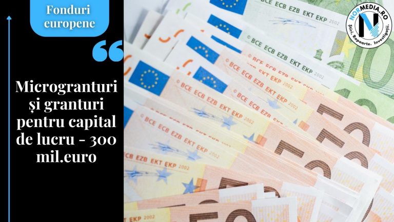 Microgranturi și granturi pentru capital de lucru – 300 mil.euro