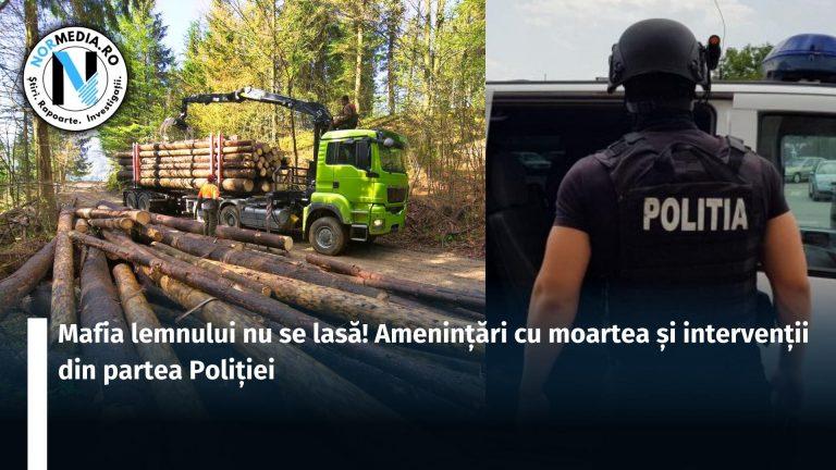 Mafia lemnului nu se lasă! Amenințări cu moartea și intervenții din partea Poliției