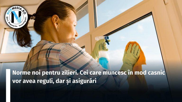Norme noi pentru zilieri. Cei care muncesc în mod casnic vor avea reguli, dar și asigurări