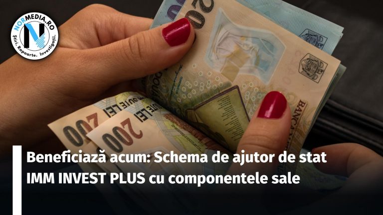 Beneficiază acum: Schema de ajutor de stat IMM INVEST PLUS cu componentele sale