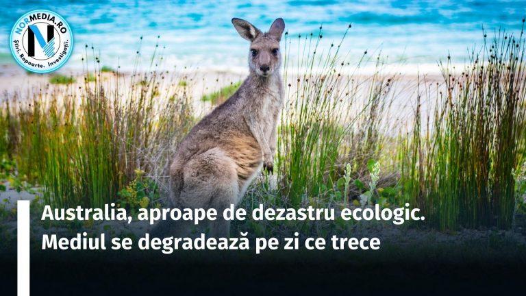 RAPORT. Dezastru ecologic în Australia. Mediul se degradează pe zi ce trece