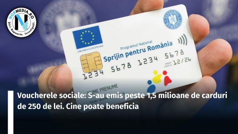 Voucherele sociale: S-au emis peste 1,5 milioane de carduri de 250 de lei. Cine poate beneficia