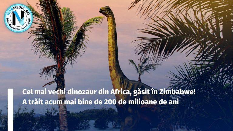 Cel mai vechi dinozaur din Africa, găsit în Zimbabwe! A trăit acum mai bine de 200 de milioane de ani
