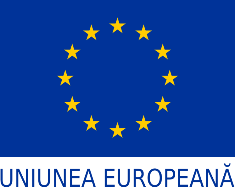 16 Ani în UE: O analiză a impactului economic și social asupra României