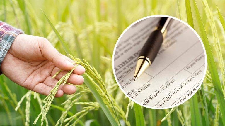 APIA demarează Campania de primire a Cererilor de Plată în anul 2023. Când vor putea depune fermierii Cererea de Plată