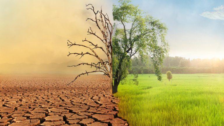 MMAP: Fonduri alocate în perioada 2014-2021 pentru a dezvolta proiecte de conservare și adaptare la schimbările climatice