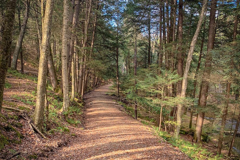 STUDIU. De ce drumețiile și excursiile montane ne încarcă de energie. Sfaturi utile de la specialiști