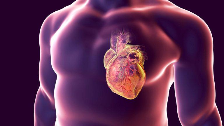 Cardiologul Dragoș Vinereanu, avertisment grav. ”Infarctul la tineri, de la raritate la realitate, în doar 30 de ani”