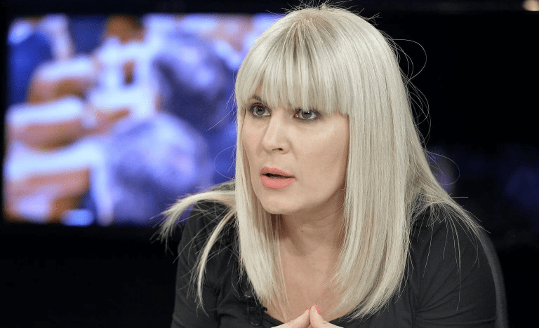 Teren deținut de Elena Udrea, scos la licitație de ANAF. Câți metri pătrați are și de la ce valoare pornește