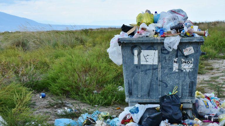 Tragedia ecologică din Rezervația Naturală Mlaștina Hergheliei – Obanu Mare și Peștera Movilei de lângă Mangalia: „Aduc gunoiul cu mașini mari”