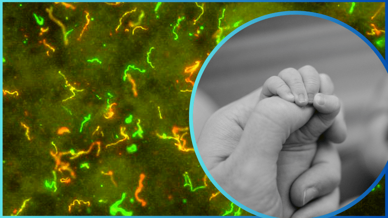 Spitalul Județean Suceava, obligat să plătească despăgubiri de 800.000 de euro unui cuplu ale cărui bebeluș a decedat din cauza a trei bacterii contactate