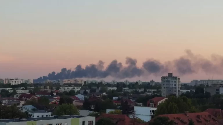 Un nou incendiu de vegetație și gunoi la Sintești: Corupția și infracționalitatea amenință mediul