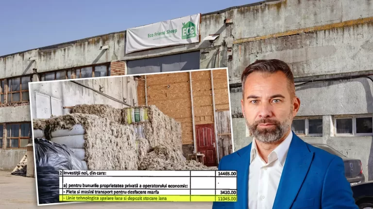 Investiții de 37 de milioane de euro în industria lânii din România, dar fără rezultate vizibile: afaceri imobiliare, proiecte nefinalizate și controverse