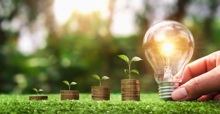 Ministerul Energiei a inițiat un nou program multianual de investiții intitulat „Energie verde”