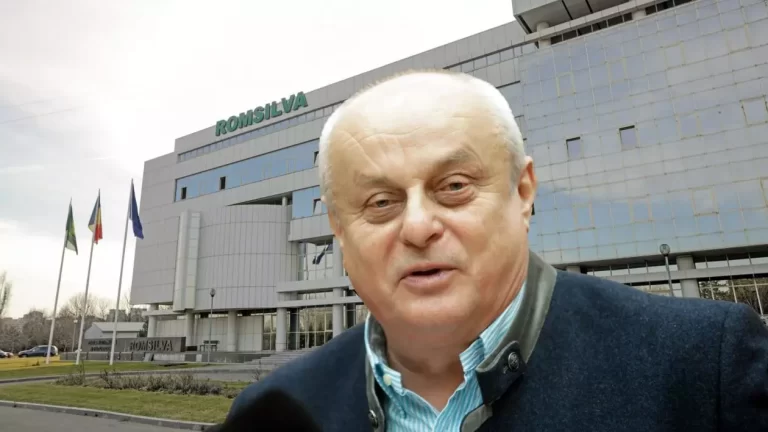Directorul de la Romsilva care a primit o primă de pensionare de 100.000 de euro s-a judecat cu Casa de Pensii pentru a fi încadrat la „condiții speciale de muncă”