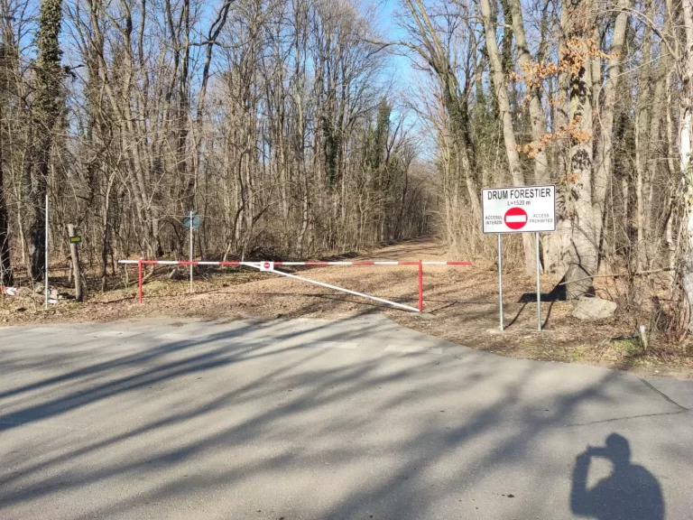 Drumul forestier din Pădurea Băneasa, deschis în secret pentru cei din Greenfield