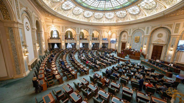 Tinerii între 16 și 18 ani vor putea înființa „firme de exercițiu”: Un proiect de lege depus în Parlament