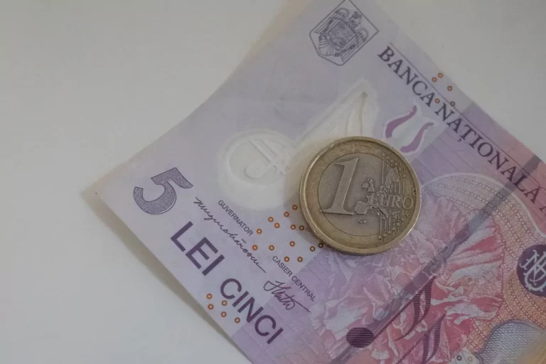 Euro a depășit pentru prima dată în istorie pragul de 5 lei, conform cotațiilor oficiale publicate marți de Banca Națională a României (BNR)