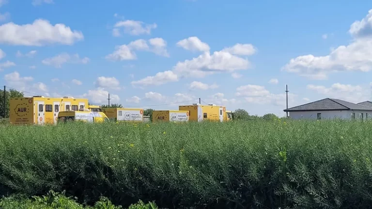 Camioanele caravanei medicale AUR sunt abandonate pe un câmp din Ilfov