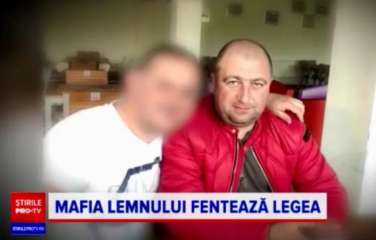Vasile Pîrlac, consilier județean PSD Suceava, adus la Parchetul General într-un dosar de evaziune fiscală și transport ilegal de lemne