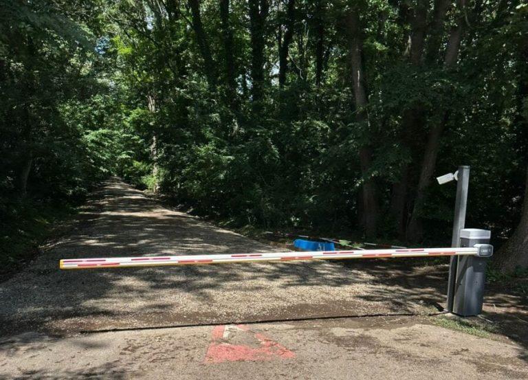 Ministrul Mediului, Diana Buzoianu: „Pădurea Băneasa trebuie să fie arie naturală protejată. Voi începe demersurile în acest sens”