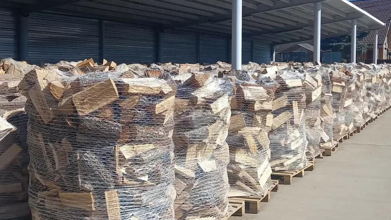 Magazinul online al Romsilva vinde lemn de foc: acces mai simplu pentru populație și prețuri stabile în sezonul rece