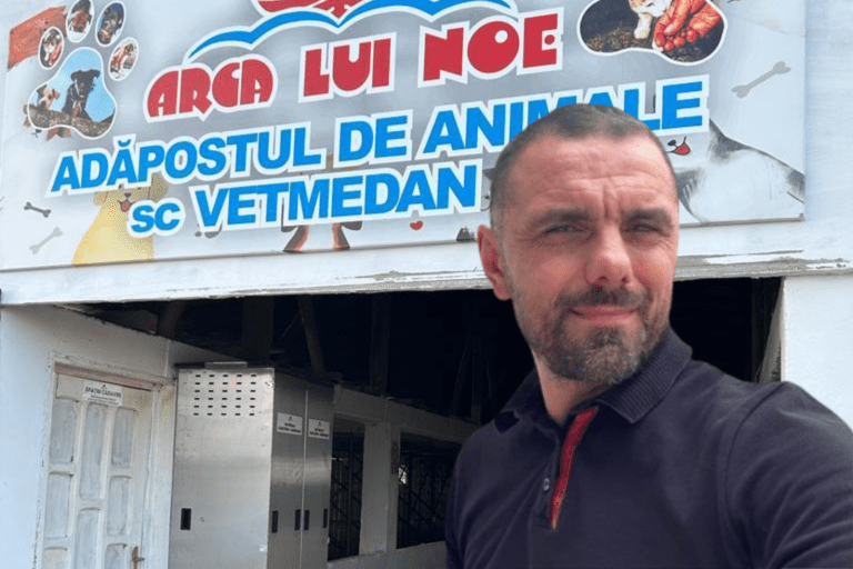 Factura cruzimii: peste 600.000 de euro din Ilfov pentru câinii fără stăpân, trimiși la peste 200 km distanță. Contracte ascunse și suspiciuni grave în cazul adăpostului din Vrancea