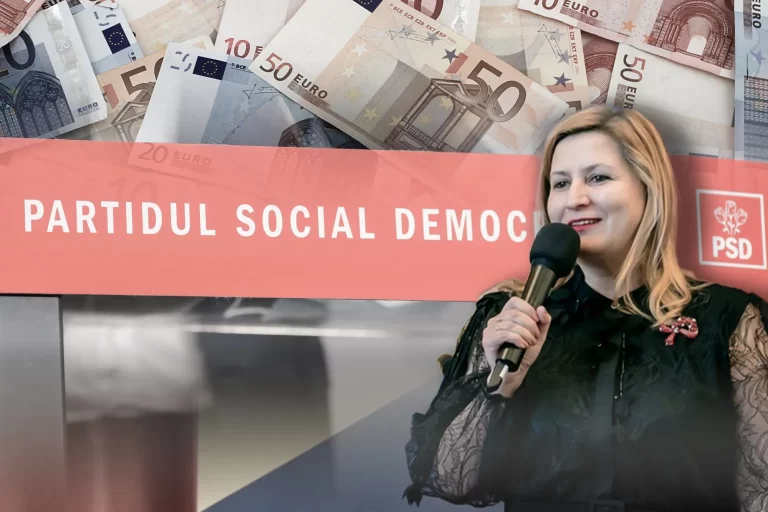 Venituri de sute de mii de euro în jurul PSD: cazul Elena Vlad și rețeaua contractelor din campanii electorale