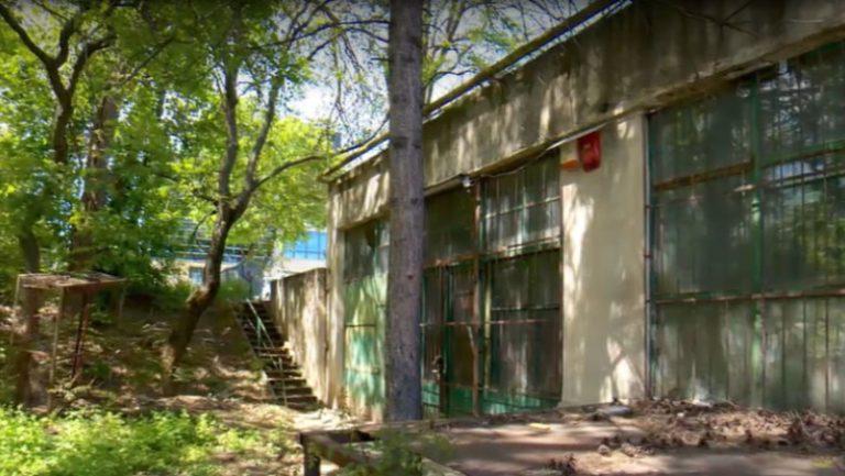 Companie de stat cu activitate zero, dar plină de șefi: cazul Arcadia 2000 ridică noi semne de întrebare despre risipa banului public