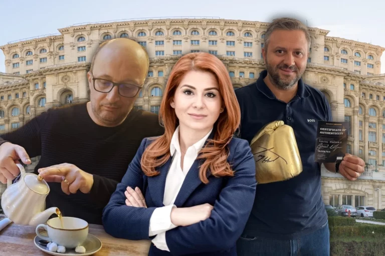 Site de aproape 4 milioane de lei, plin de erori. Camera Deputaților, criticată după lansarea noii platforme digitale