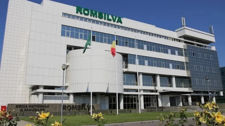 Romsilva, pe locul 2 la nivel național privind contractele atribuite prin negociere fără publicare în 2025. ANAP atrage atenția asupra utilizării frecvente a procedurilor de urgență