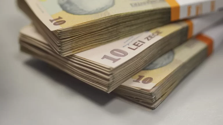 Guvernanta.gov.ro, noua platformă a Guvernului pentru transparența companiilor de stat. Peste 100 de persoane ocupă mai multe funcții, iar veniturile conducerilor ajung la peste 100.000 de lei lunar