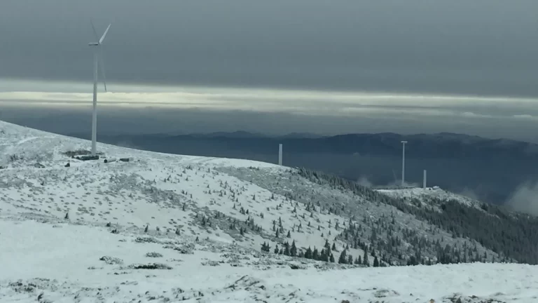 SAPE, peste 600 de milioane de lei în bănci. Investiții energetice problematice și profit din dobânzi